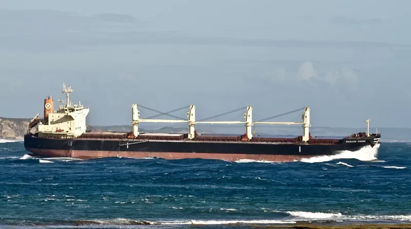 ROYAL CHIBA Bulk Carrier IMO 9566461 photo 8