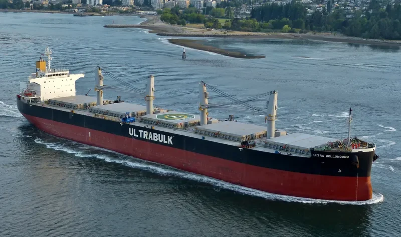 ULTRA WOLLONGONG Bulk Carrier IMO 9566576 photo 7
