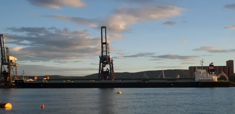 DIAMOND POWER Bulk Carrier IMO 9566590 photo 10