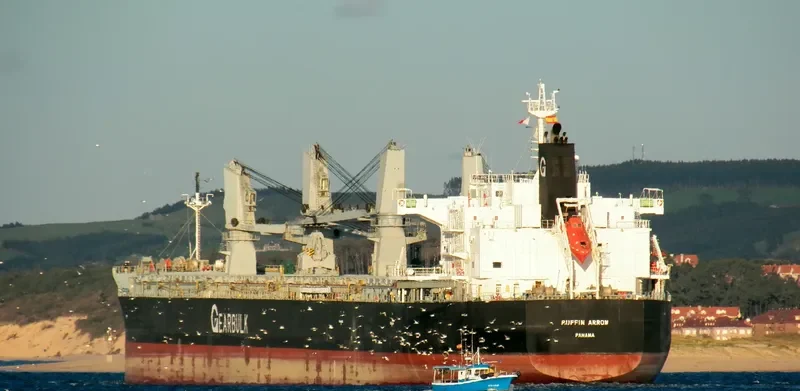 PUFFIN ARROW General Cargo IMO 9566605 photo 10