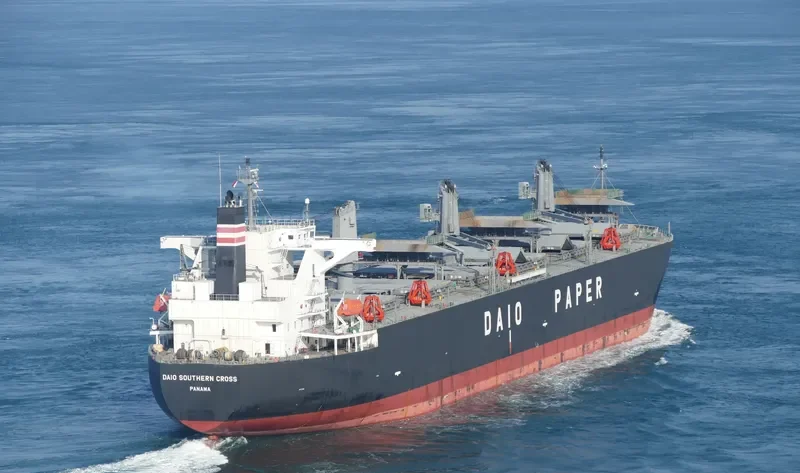 DAIO SOUTHERN CROSS Bulk Carrier IMO 9566629 photo 8