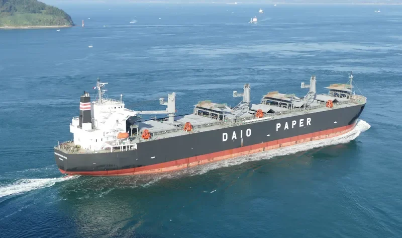 DAIO SOUTHERN CROSS Bulk Carrier IMO 9566629 photo 9