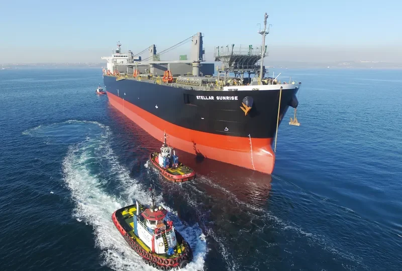STELLAR SUNRISE Bulk Carrier IMO 9566631 photo 4
