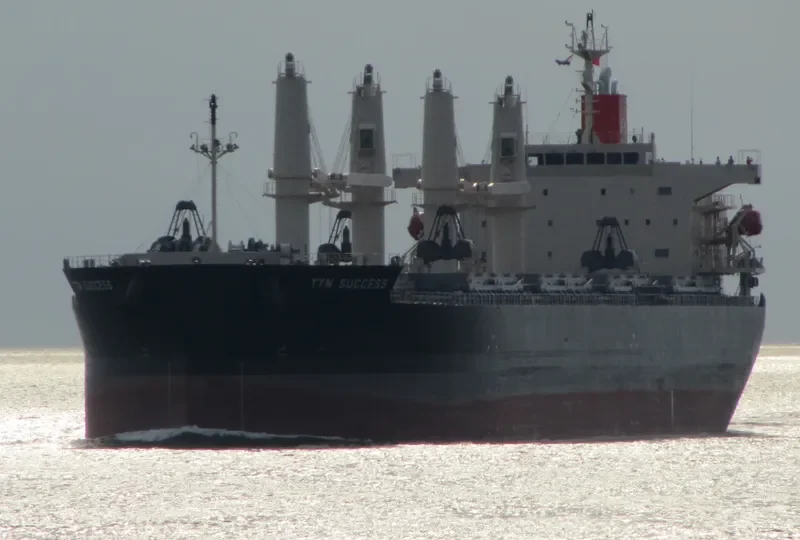 TTM SUCCESS Bulk Carrier IMO 9566655 photo 8