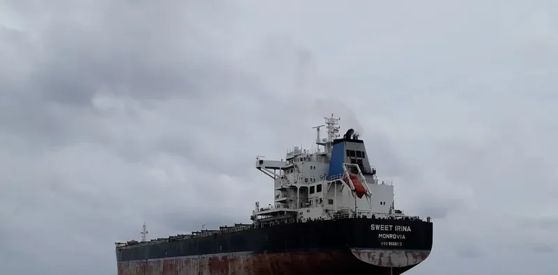 SWEET IRINA Bulk Carrier IMO 9566813 photo 2