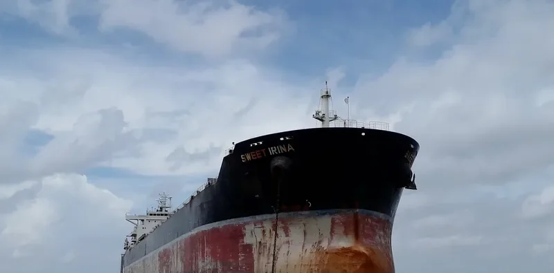 SWEET IRINA Bulk Carrier IMO 9566813 photo 4