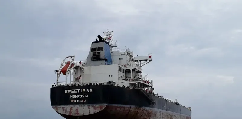 SWEET IRINA Bulk Carrier IMO 9566813 photo 5