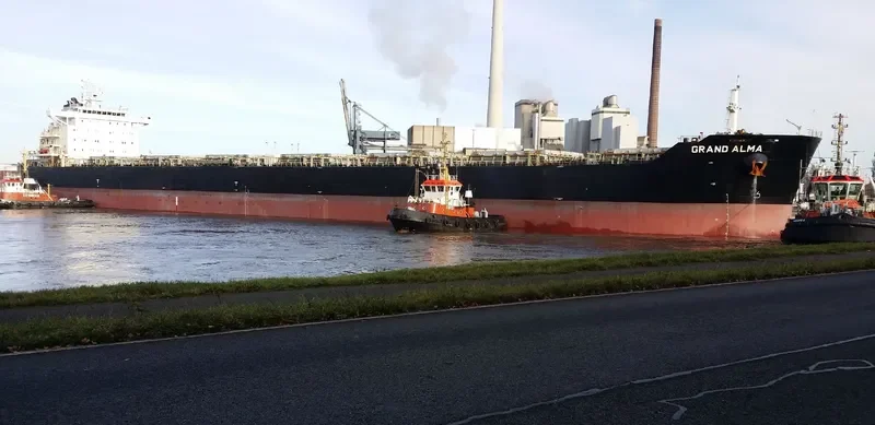 SWEET MELISSA Bulk Carrier IMO 9566825 photo 4