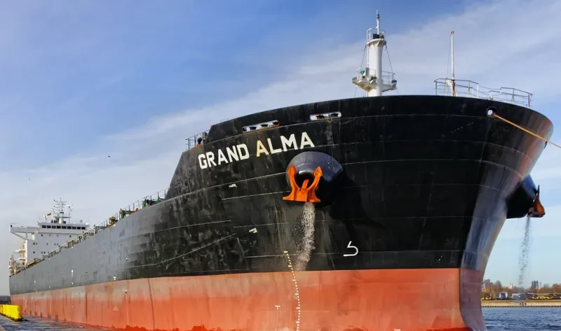 SWEET MELISSA Bulk Carrier IMO 9566825 photo 9