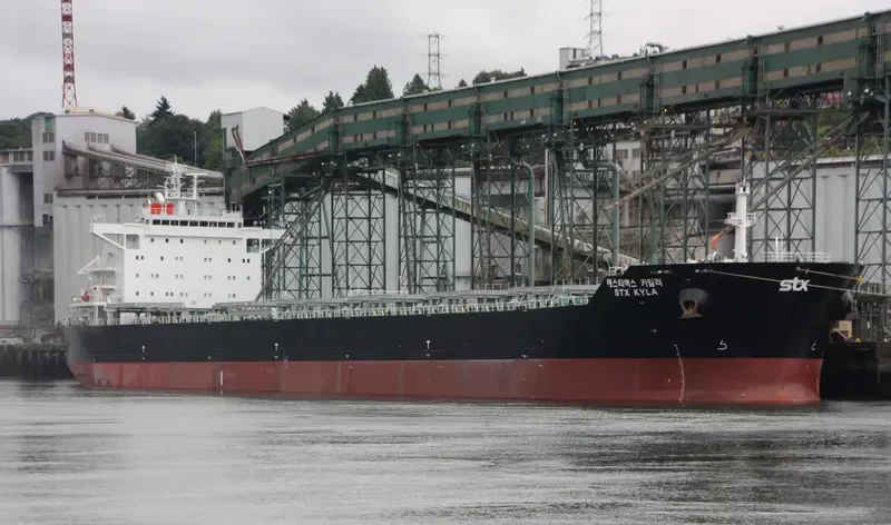 PAN KYLA Bulk Carrier IMO 9566837