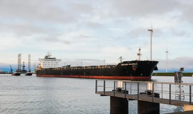 SWEET VENUS Bulk Carrier IMO 9566849