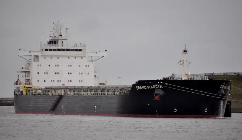 SWEET VENUS Bulk Carrier IMO 9566849 photo 4