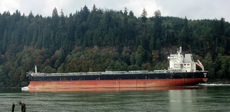 SWEET VENUS Bulk Carrier IMO 9566849 photo 7