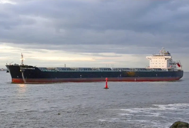 SWEET VENUS Bulk Carrier IMO 9566849 photo 10
