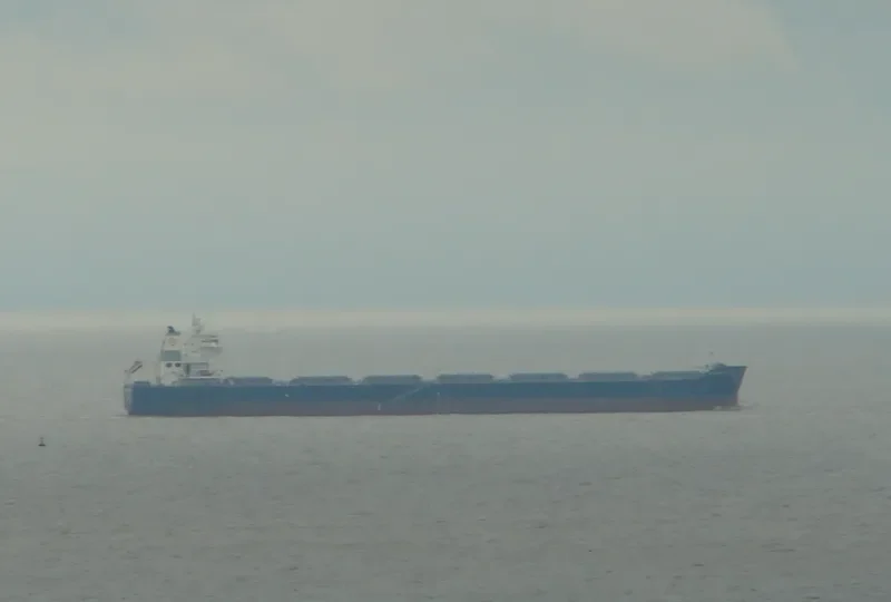 POS LOGISTICS 2 Bulk Carrier IMO 9566851 photo 5