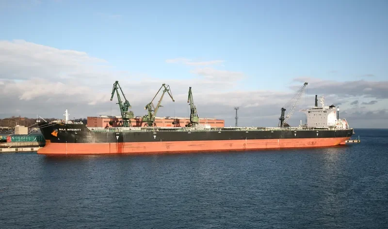 BULK INTEGRITY Bulk Carrier IMO 9566966 photo 3