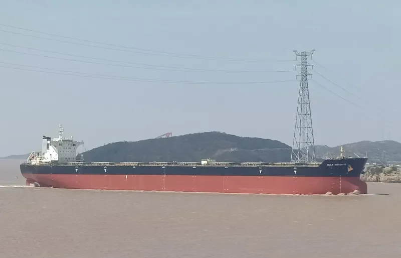 BULK INTEGRITY Bulk Carrier IMO 9566966 photo 7