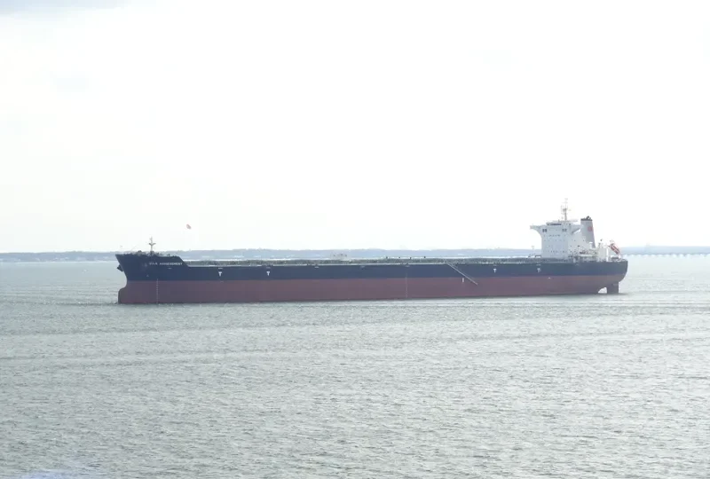 BULK ACHIEVEMENT Bulk Carrier IMO 9566978
