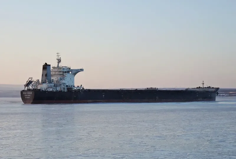 BULK GENIUS Bulk Carrier IMO 9566992