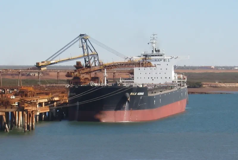 BULK GENIUS Bulk Carrier IMO 9566992 photo 6