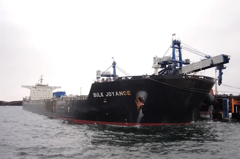 BULK JOYANCE Bulk Carrier IMO 9567001 photo 3