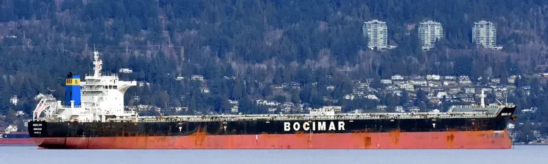 MINERAL HOPE Bulk Carrier IMO 9567025 photo 2