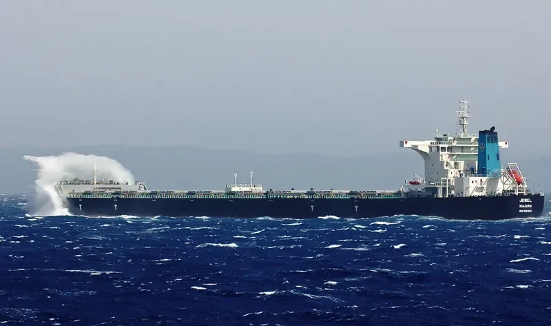 JEWEL Bulk Carrier IMO 9567037 photo 17
