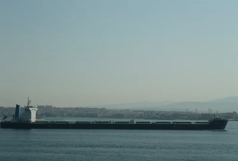 JEWEL Bulk Carrier IMO 9567037 photo 26