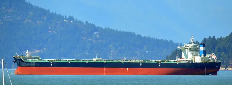 STAR SCARLETT Bulk Carrier IMO 9567051