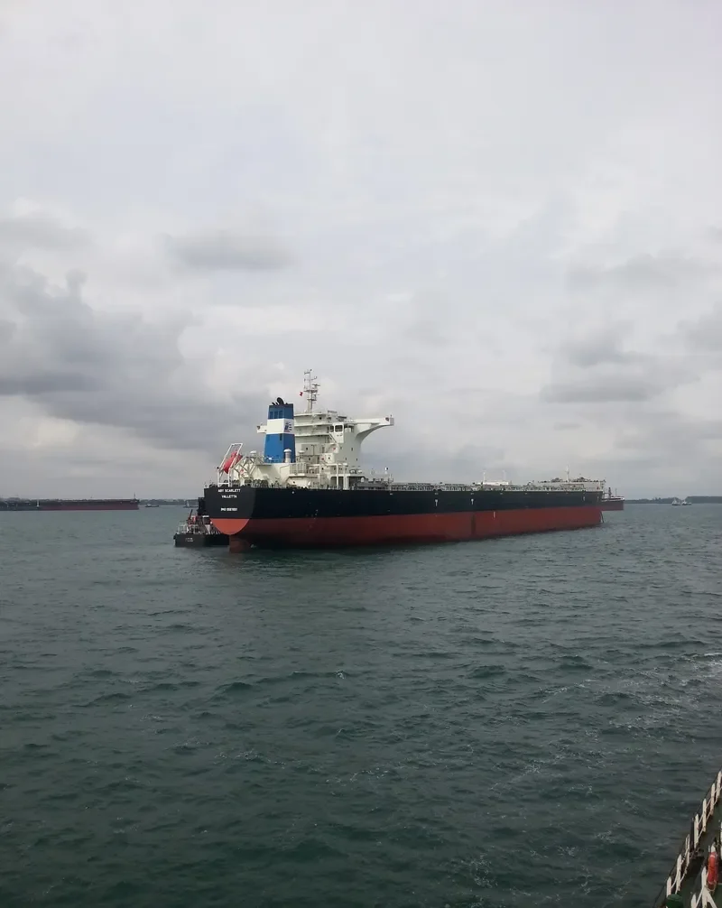 STAR SCARLETT Bulk Carrier IMO 9567051 photo 2