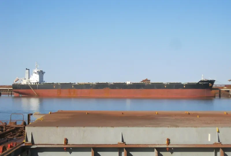 BULK HARVEST Bulk Carrier IMO 9567075 photo 4