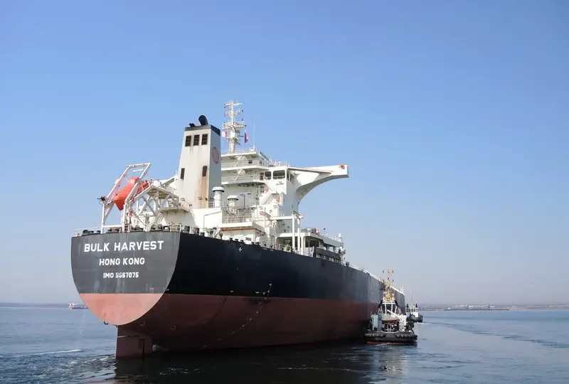 BULK HARVEST Bulk Carrier IMO 9567075 photo 7