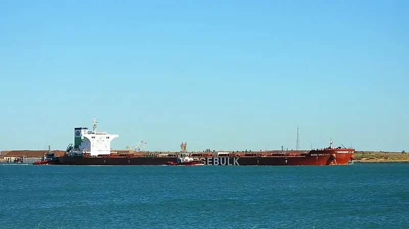 BERGE ORIZABA Bulk Carrier IMO 9567087 photo 5