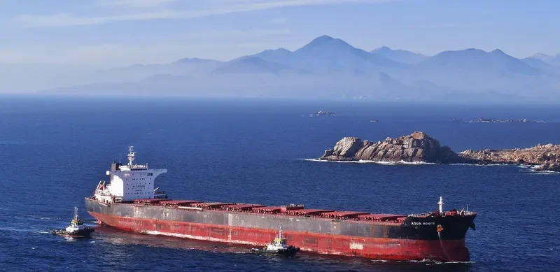 AQUA HONOR Bulk Carrier IMO 9567099 photo 5