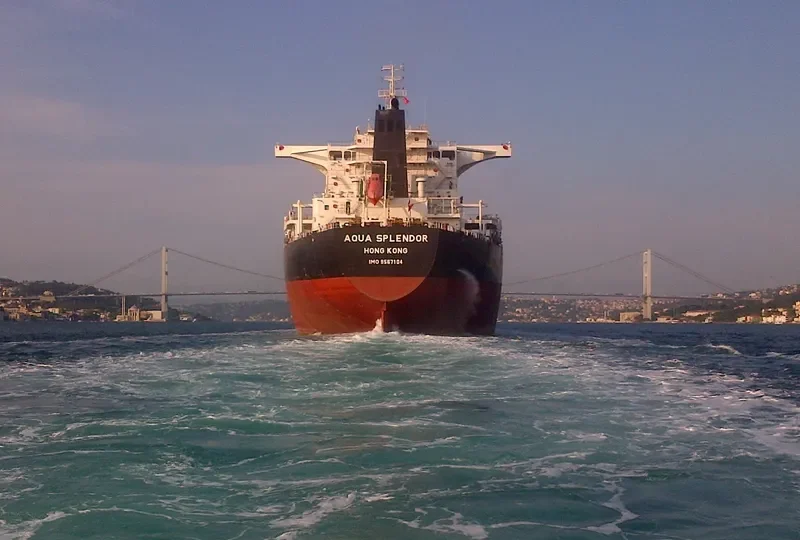 AQUA SPLENDOR Bulk Carrier IMO 9567104