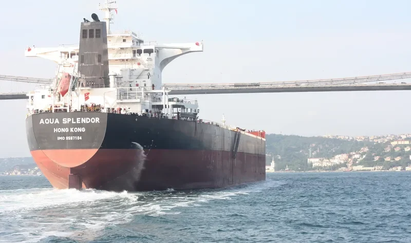 AQUA SPLENDOR Bulk Carrier IMO 9567104 photo 8