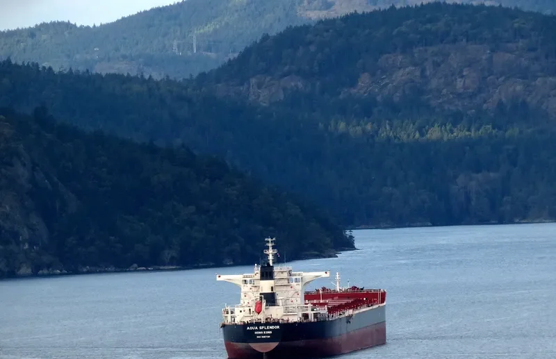 AQUA SPLENDOR Bulk Carrier IMO 9567104 photo 9