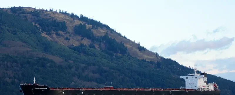 AQUA SPLENDOR Bulk Carrier IMO 9567104 photo 10