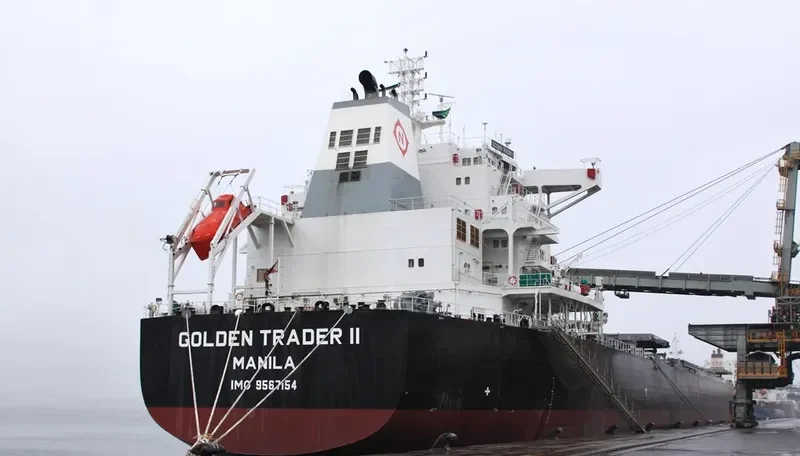 IRENE MADIAS Bulk Carrier IMO 9567154 photo 10
