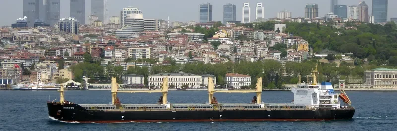 THASSOS Bulk Carrier IMO 9567233