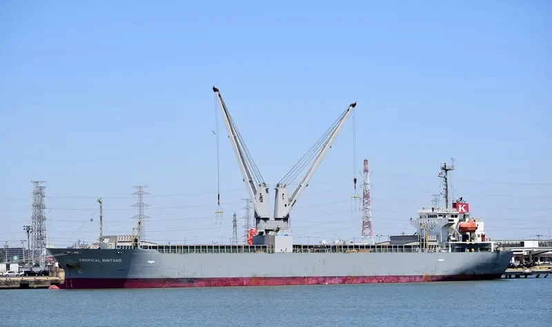 TROPICAL BINTANG General Cargo IMO 9567348 photo 3