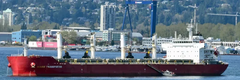 ZHONG CHANG 538 Bulk Carrier IMO 9567403 photo 4