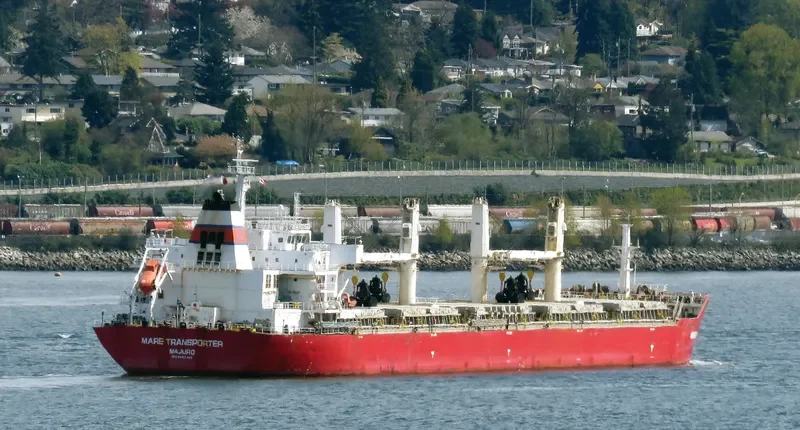 ZHONG CHANG 538 Bulk Carrier IMO 9567403 photo 6