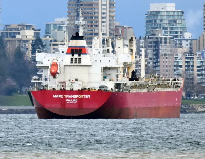 ZHONG CHANG 538 Bulk Carrier IMO 9567403 photo 9