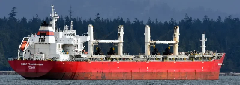 ZHONG CHANG 538 Bulk Carrier IMO 9567403 photo 10