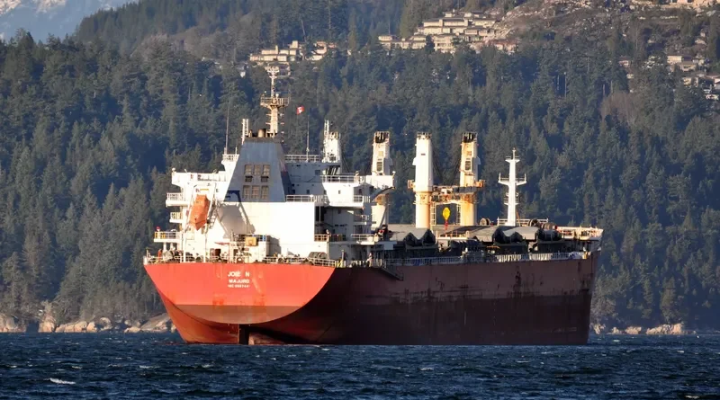 JU XI Bulk Carrier IMO 9567441 photo 7