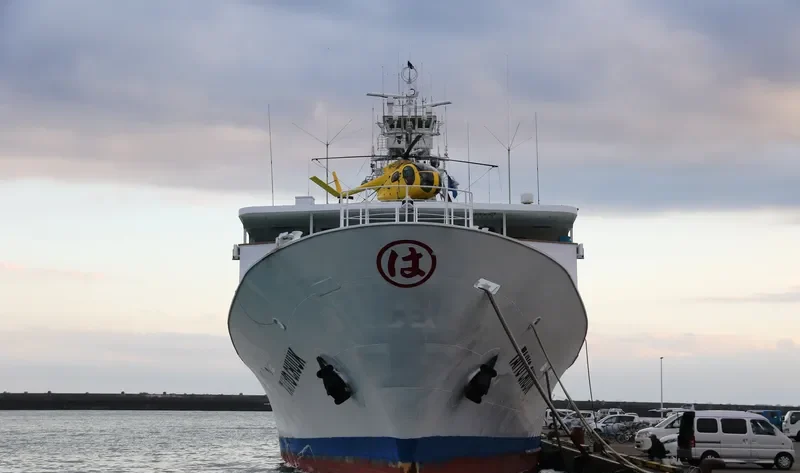 TAIYO CHUUK General Cargo IMO 9567465 photo 3