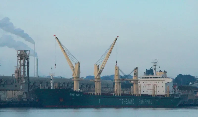 ZHE HAI 1 Bulk Carrier IMO 9567489 photo 10