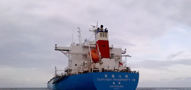 TAIPOWER PROSPERITY VIII Bulk Carrier IMO 9567623