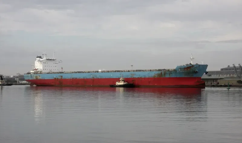 TAIPOWER PROSPERITY VIII Bulk Carrier IMO 9567623 photo 2